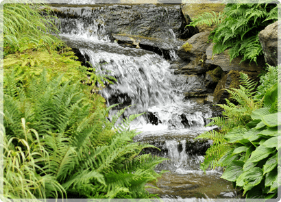 Homeopathy Morganville, NJ - Central Jersey Neurological Institute - Dr. Maria Choy